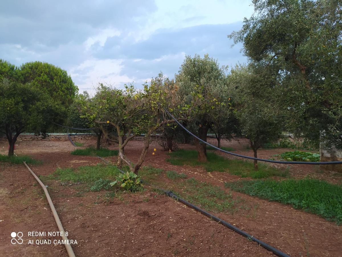 Ozena Countryside Apartment Vromonerion Экстерьер фото