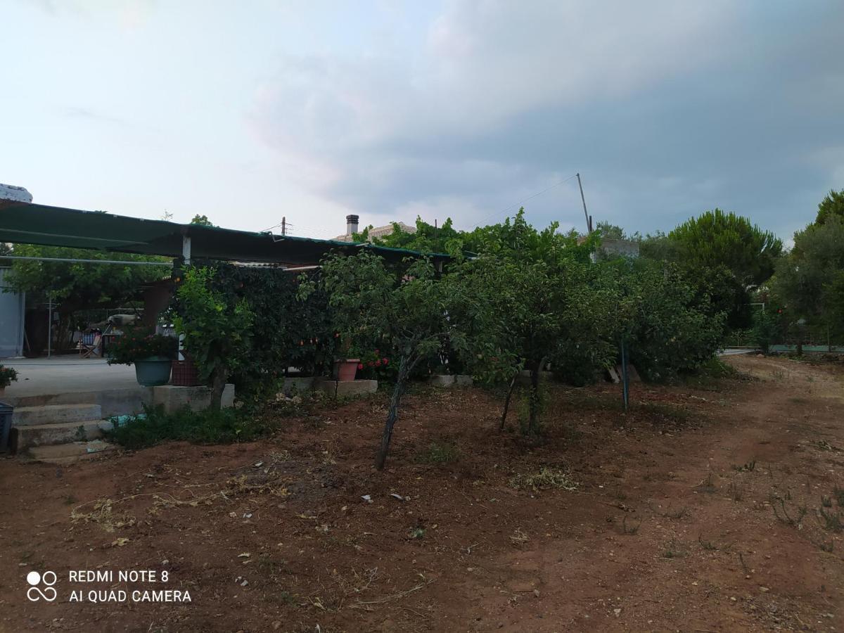 Ozena Countryside Apartment Vromonerion Экстерьер фото